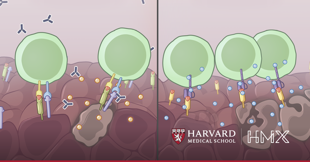 Immunooncology Online HMX Harvard Medical School